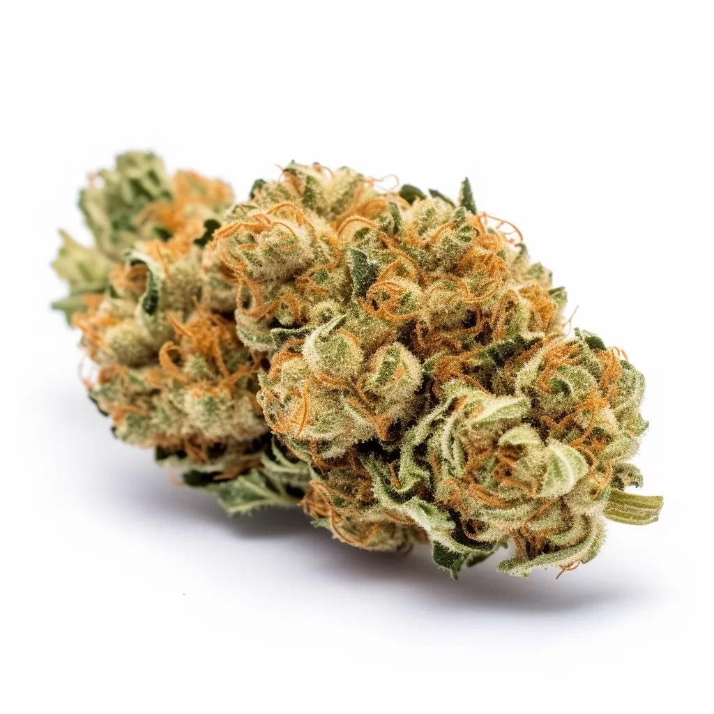 Super Lemon Haze Autoflower