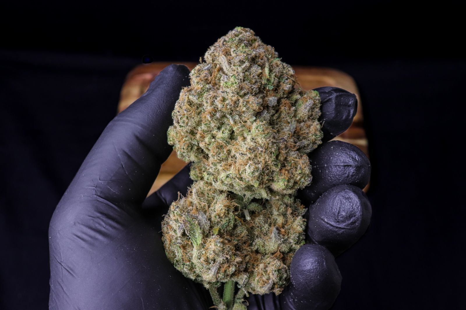 Fast Buds -Strawberry Gorilla Auto Seeds