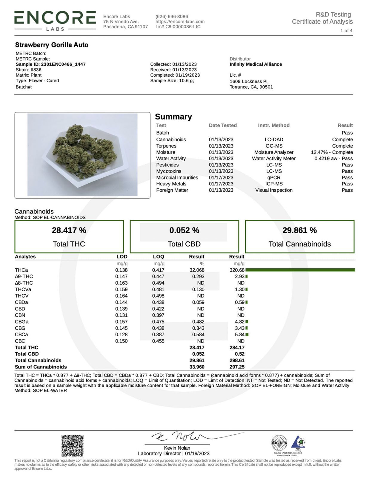 Fast Buds -Strawberry Gorilla Auto Seeds