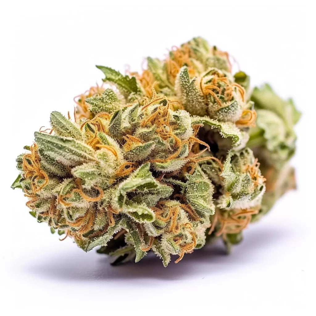 Amnesia-Haze-jpg.webp