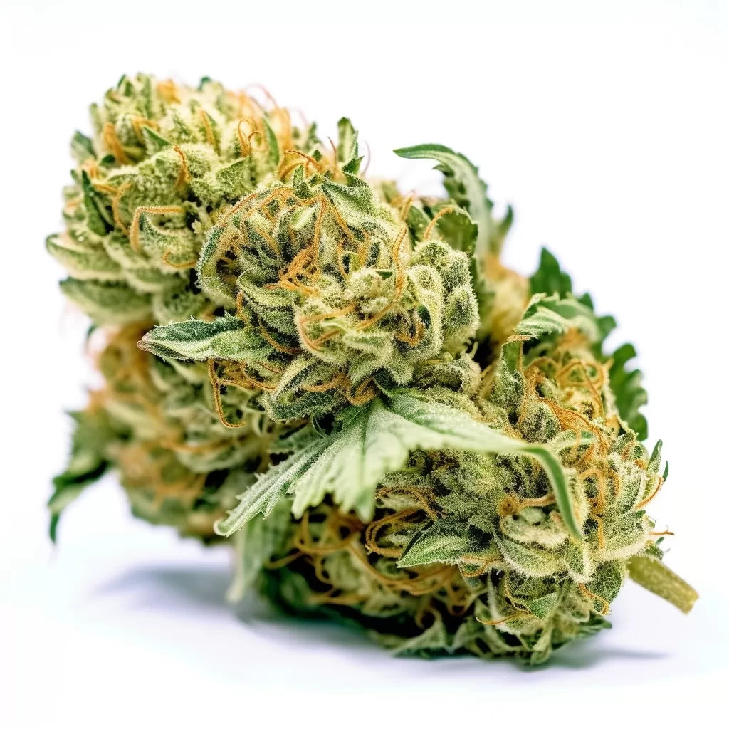 Pineapple Chunk - Feminisierte Cali Samen